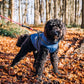 🐾Vattentät vinterjacka för hund med inbyggd sele
