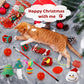 2025 julkalender med leksaker för katt och hund