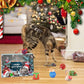 2025 julkalender med leksaker för katt och hund