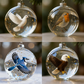 🐦 50% RABATT NU! ✨ Naturens Fågelglas-Sfäriska Ornament - Realistisk Fågeldesign med Väderbeständig Finish för Trädgård & Balkong 🌿🌟