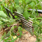 🎁 Het försäljning 49% rabatt ⏳ Manual Weed Remover Tool för gräsmatta och trädgård