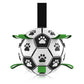 Interaktiv hundfotboll