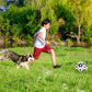Interaktiv hundfotboll