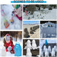 ❄4 I 1 SNÖLEKSAKER❄