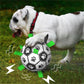 Interaktiv hundfotboll