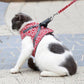 HOT SALE 49% OFF Pet Leash Breakaway bröstrem väst sele